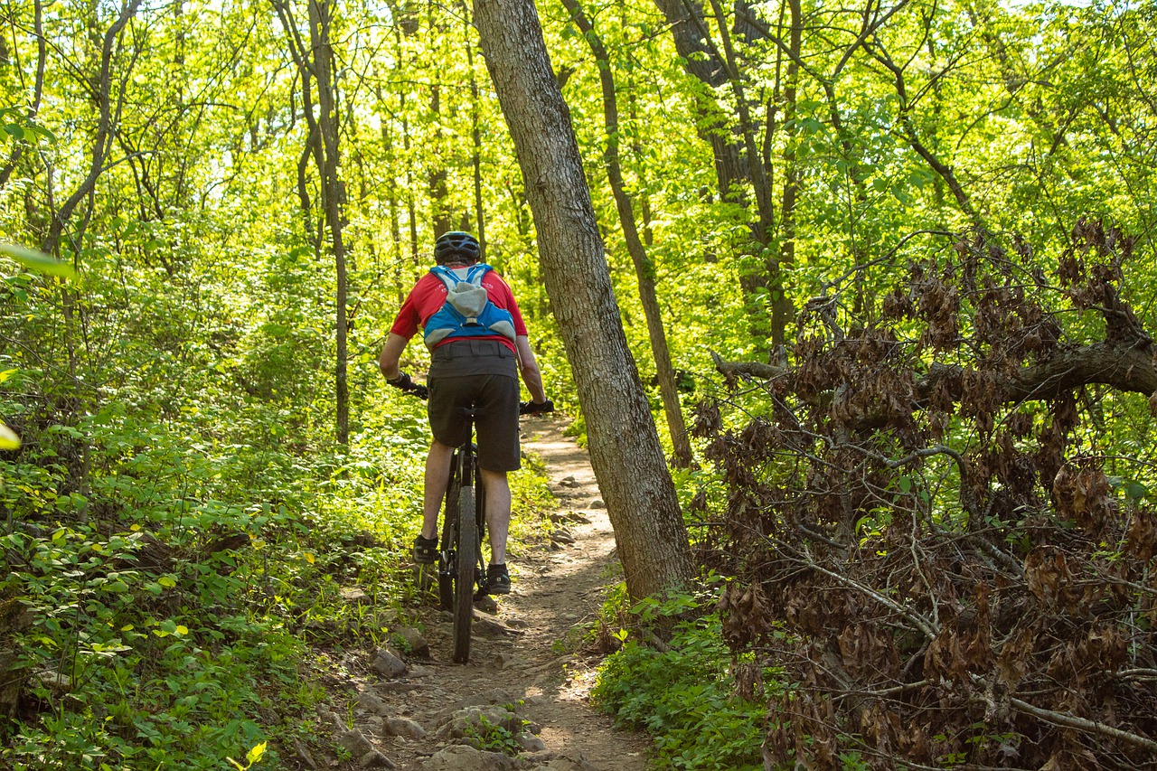 Mountain Bike Cycling Exercise - jotoya / Pixabay