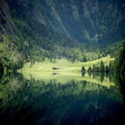 Lake Mountains Trees Fields Meadow  - marcuskautz / Pixabay