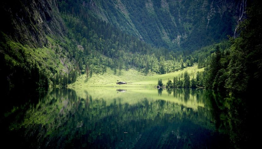 Lake Mountains Trees Fields Meadow  - marcuskautz / Pixabay