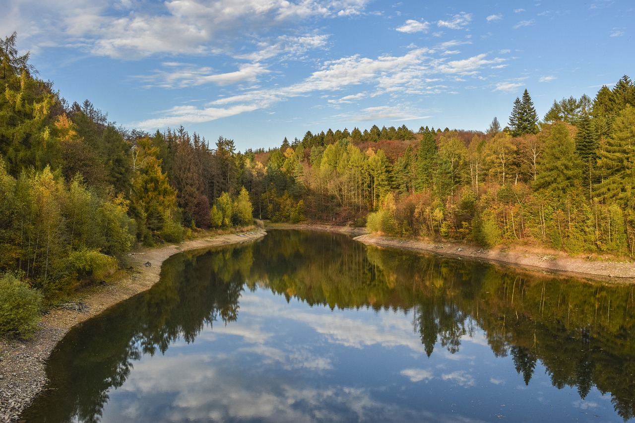 Lake Trees Bank Forest Woods  - MichaelGaida / Pixabay