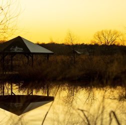 Gazebo Pond Sunset Sunrise Dawn  - myough / Pixabay