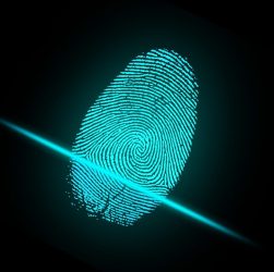 Finger Fingerprint Security Digital  - ar130405 / Pixabay