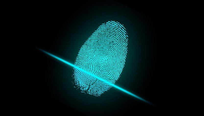 Finger Fingerprint Security Digital  - ar130405 / Pixabay