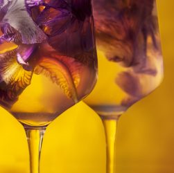 Flower Orange Glasses Drink  - andrassziffer / Pixabay