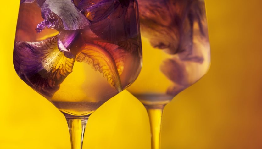 Flower Orange Glasses Drink  - andrassziffer / Pixabay