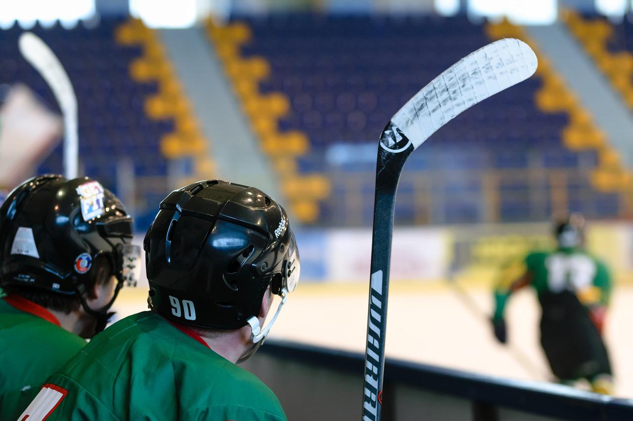Hockey Game Stadion Ice Skating Rink  - PhotoMIX-Company / Pixabay
