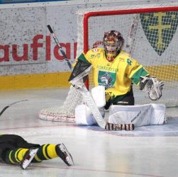 Hockey Goalkeeper Action Attack  - RoboMichalec / Pixabay