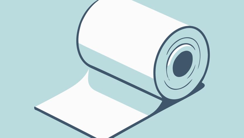toilet paper, tissue, toilet